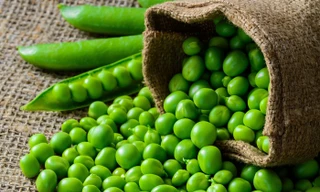 Ảnh minh họa: Internet