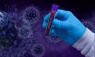 Ảnh minh họa: Internet