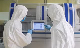 Ảnh minh hoạ: Internet