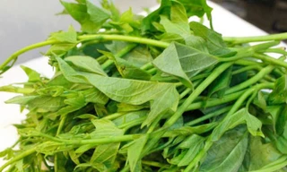 Ảnh minh họa: Internet