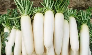 Ảnh minh họa: Internet