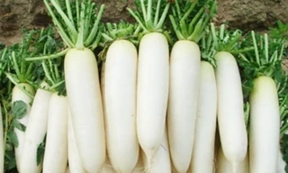 Ảnh minh họa: Internet