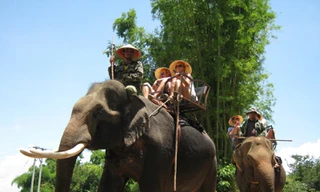 Cưỡi voi ngắm cảnh ở Buôn Jun