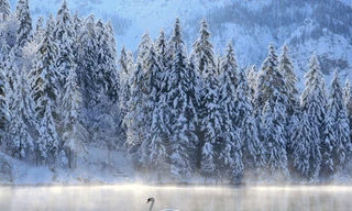 Truyện cổ tích mùa đông