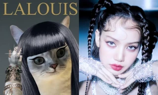 "Vì yêu mà hóa meme": BLINKs khiến Lisa cool ngầu "bay màu" trong loạt ảnh chế hài hước