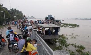 Bắt được cá hô gần 120kg trên sông Tiền