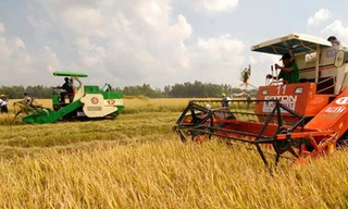Nông dân ĐBSCL đã thu hoạch lúa bằng máy khoảng 30% diện tích
