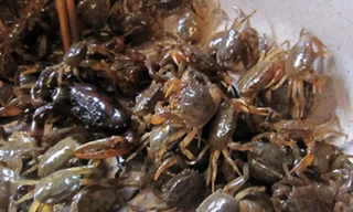 Kinh sợ món cua xay tại chợ