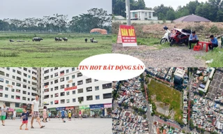 Gần 80% môi giới BĐS bỏ việc, đất nông nghiệp bị thu sẽ được bồi thường bằng nhà ở