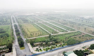 HoREA đề nghị phân biệt rõ giữa đấu thầu và đấu giá sử dụng đất