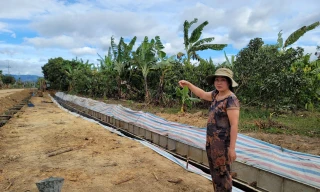 25 hộ dân đã tình nguyện hiến 1.100 m2 đất và tài sản trên đất để hỗ trợ dự án 