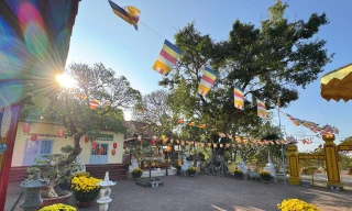 Chùa Tổ đình Bác Ái được xây dựng vào năm 1933 (năm Bảo Đại thứ 8). Đây là công trình kiến trúc phật giáo đầu tiên ở Kon Tum nói riêng và Tây Nguyên nói chung.