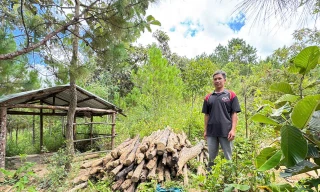 Người dân tự nguyện tháo dỡ cây trồng, nhà chòi sai phạm
