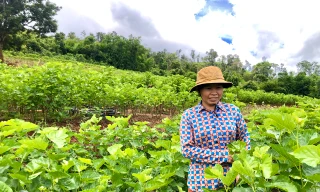 Thu nhập cao nhờ nghề 'ăn cơm đứng'