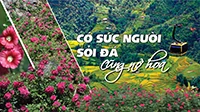 Có sức người sỏi đá cũng nở hoa