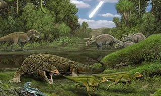 Loài khủng long mới được đặt tên theo tên của Tổng thống Mỹ Barack Obama