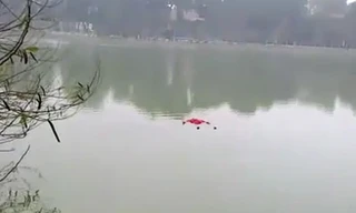 Giữa hồ, nam thanh niên đang tự đâm vào người mình.