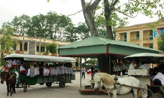 Đến trường bằng xe ngựa