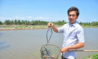  Người dân ở ấp Cồn Chim nuôi tôm làm du lịch ảnh: H.H