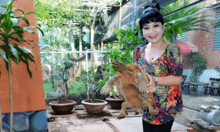 Tác giả với con rùa hơn 10 kg và đã 20 tuổi 
