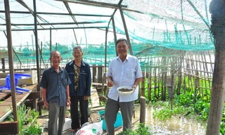 Trung tâm TP Đà Lạt hiện nay nhìn từ trên cao Ảnh Bảo Vy.