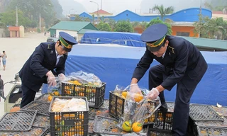 Theo VCCI, các thủ tục kiểm tra chuyên ngành cần được tiếp tục tháo gỡ Ảnh: Bình Phương 