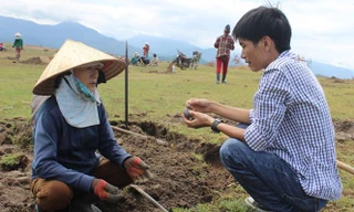 Đá đen Phú Yên được gom để bán sang Trung Quốc 