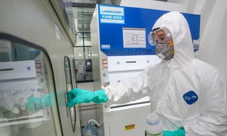 Thanh tra yêu cầu, nhà thầu bất hợp tác?