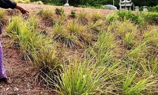 Đất nông nghiệp dân trồng cây hàng năm tại phường Thủy Xuân được chính quyền thành phố Huế áp giá đền bù 23.300 đồng/m2 