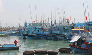 Hàng loạt tàu cá nằm bờ ở Cảng cá Hòn Rớ, xã Phước Đồng, TP Nha Trang. Ảnh: Vĩ Cầm