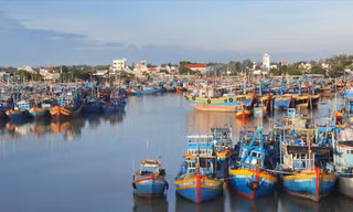 Đội tàu đông đúc neo đậu ở cảng cá thị xã La Gi Ảnh: Văn Minh 