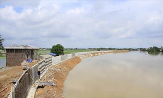 Một đoạn đê bê tông - Ảnh: Trường Phong 