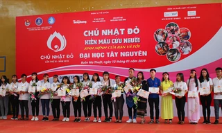 Nhiều tập thể và cá nhân xuất sắc đã được khen thưởng 