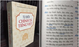 Cuốn từ điển chi chít lỗi chính tả của NXB Đại học Quốc gia Hà Nội Ảnh: HOÀNG TUẤN CÔNG 