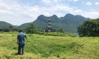 Khu vực mà ông Cường cho là nơi giấu vàng của vua Hàm Nghi cách cửa động Phong Nha chừng 200m 