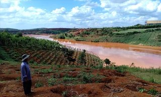 Hồ thải quặng chỉ còn bùn, cây trồng của dân thiếu nước tưới.