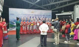 Chương trình bị dừng vì có dấu hiệu vi phạm