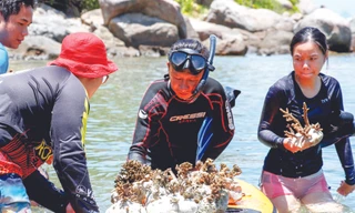 Các giá thể được đặt cẩn thận trên thuyền sup, đưa ra giữa biển. Sau đó, các thành viên sẽ lặn và đặt cố định giá thể xuống biển và cố định để san hô tiếp tục tự phát triển. Ảnh: Giang Thanh