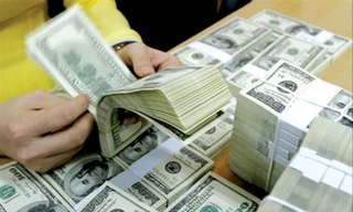 Tỷ giá đã tăng 2,8% từ đầu năm đến nay Ảnh: Như Ý 