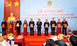 Bổ nhiệm Chánh án, Phó Chánh án Tòa án nhân dân nhiều tỉnh, thành