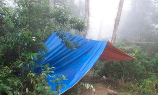 Một lán trại lâm tặc dựng sát đường độc đạo vào khu rừng bị phá