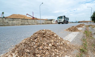 Báo động, vận chuyển gỗ dăm gây ô nhiễm môi trường ở Hạ Long