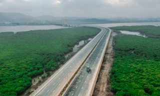 Độc đáo cây cầu uốn lượn giữa rừng ngập mặn ở Hạ Long