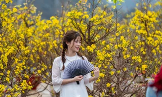 Giới trẻ Hạ Long đổ ra chợ hoa xuân chụp ảnh 