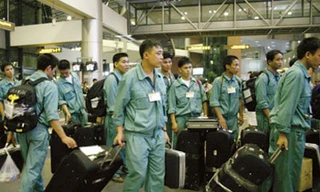 Hàn Quốc ngừng tuyển lao động Việt Nam