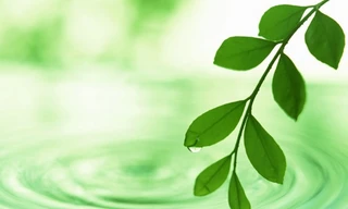 Hiểu rõ về cái đầu, không để cảm xúc dẫn dắt