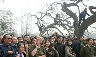 Hàng nghìn người chen chân, thậm trí còn trèo cả lên cây để xem lai dắt Cụ rùa