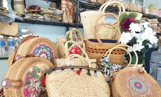 Cô gái 9X thu cả tỷ đồng nhờ loại cây mọc hoang rẻ bèo