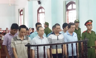 Truy tố 7 lãnh đạo doanh nghiệp 'hối lộ' cán bộ thanh tra giao thông