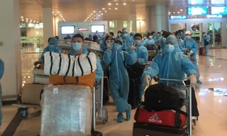 Cần Thơ đón chuyến bay đưa 309 người Việt từ Singapore về nước